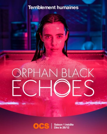 Orphan Black : Echoes S01E08 MULTI 1080p HDTV