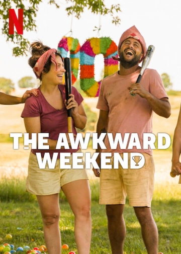 The Awkward Weekend FRENCH WEBRIP 720p 2023